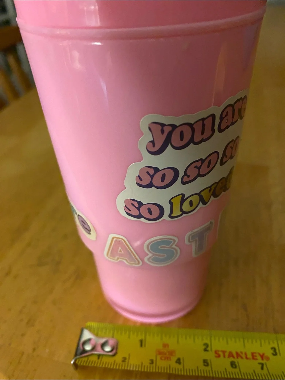 Horizon Group brand personalized mini pink tumbler (not for drinking)